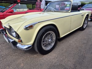 Triumph TR5 on Turrino alloy rim, ss centres and spokes, 6x15